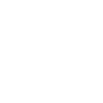 Logo Noricum Baum